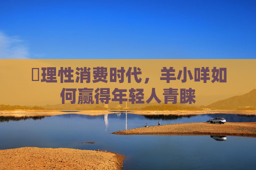 ​理性消费时代，羊小咩如何赢得年轻人青睐 第1张