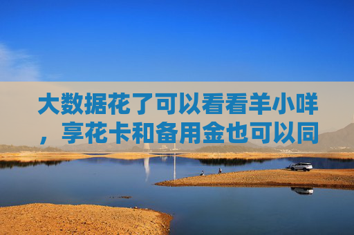 大数据花了可以看看羊小咩，享花卡和备用金也可以同时下款了！