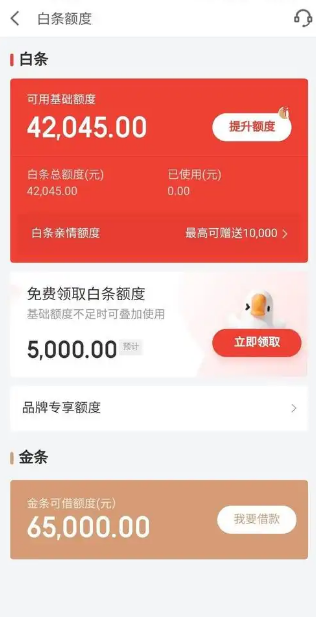 轻松提升京东白条额度，解锁财务周转通道