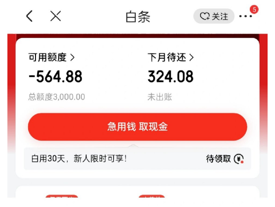灵活运用！5招教你解锁京东白条额度取出来的的最佳攻略