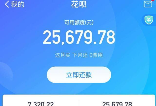 轻松掌握花呗额度变现技巧，财富增长不是梦 第2张